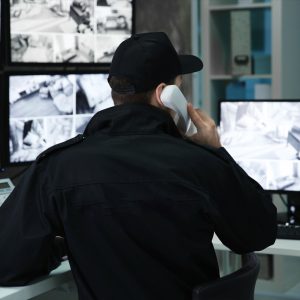 background 1 section